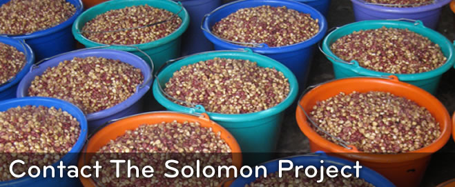 The Solomon Project: CONTACT